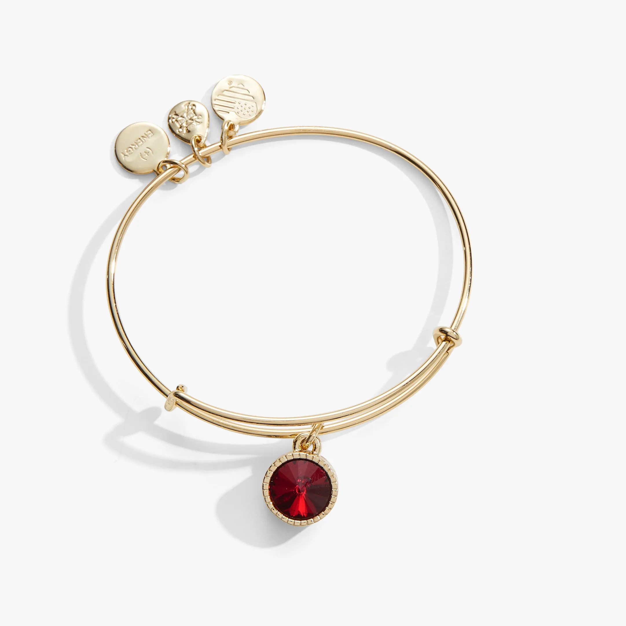 January Birthstone Charm Bangle, Scarlet