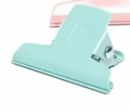 Pastel Clip - 5cm - Mint