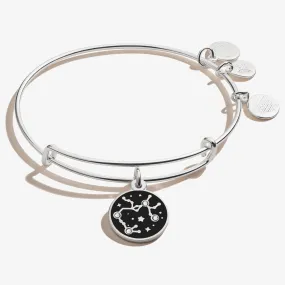 Sagittarius Zodiac Charm Bangle, Color