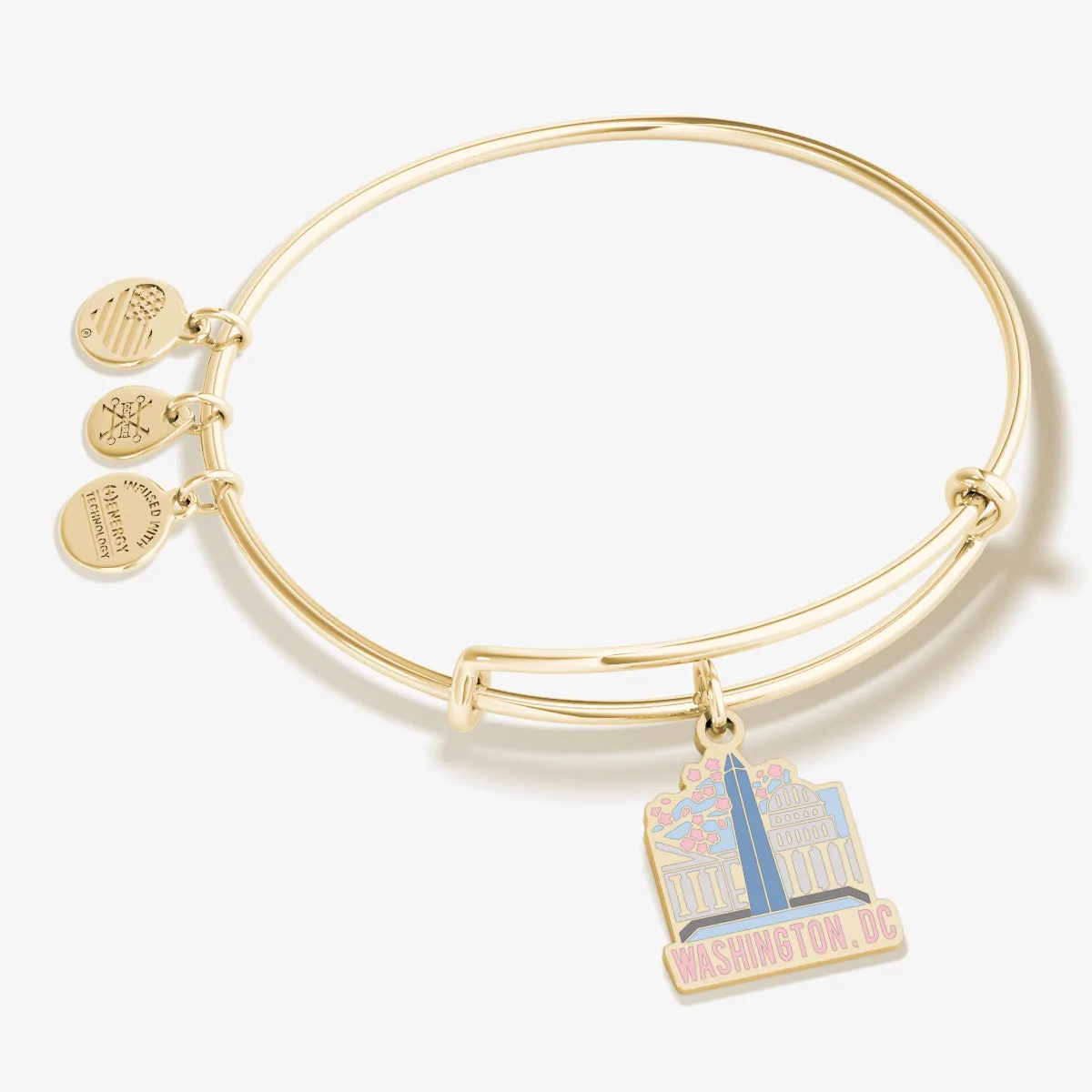 Washington D.C. Charm Bangle