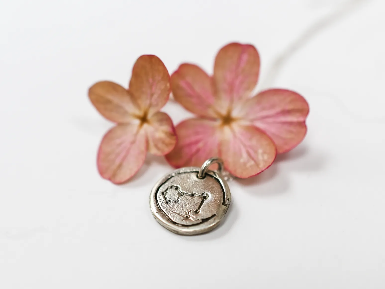 Zodiac Pendant - Pisces